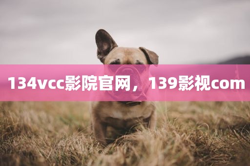 134vcc影院官网，139影视com