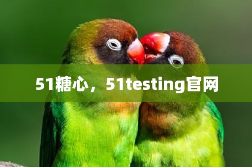 51糖心，51testing官网