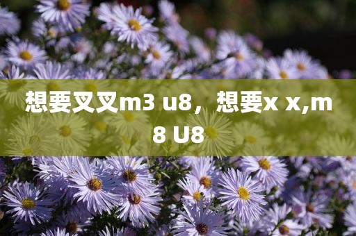 想要叉叉m3 u8，想要x x,m8 U8