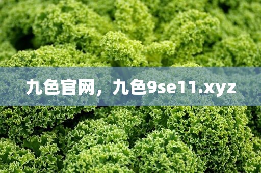 九色官网，九色9se11.xyz