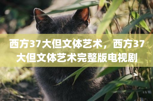 西方37大但文体艺术，西方37大但文体艺术完整版电视剧