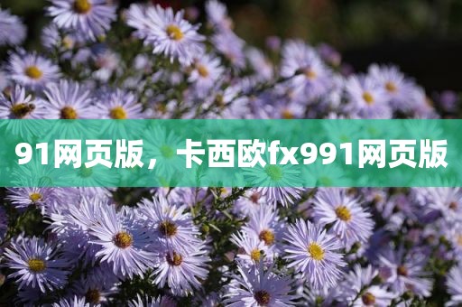 91网页版，卡西欧fx991网页版
