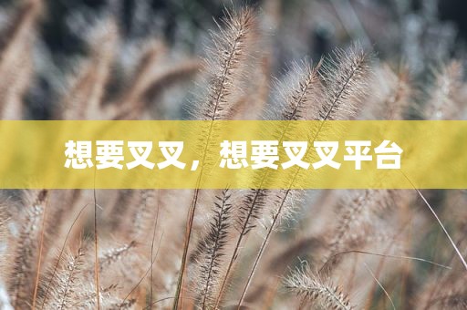 想要叉叉，想要叉叉平台