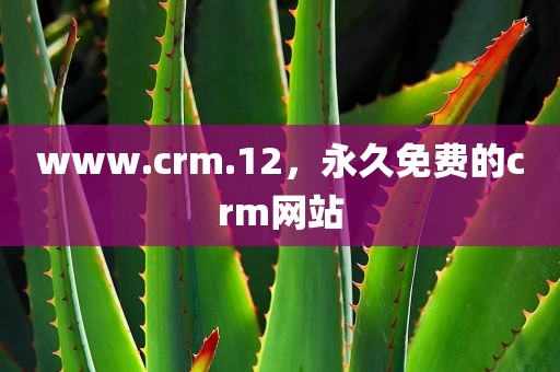 www.crm.12，永久免费的crm网站