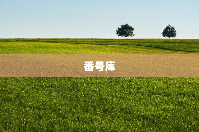 番号库