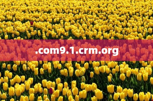 .com9.1.crm.org