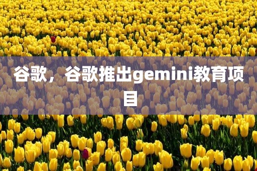 谷歌，谷歌推出gemini教育项目