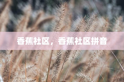 香蕉社区，香蕉社区拼音