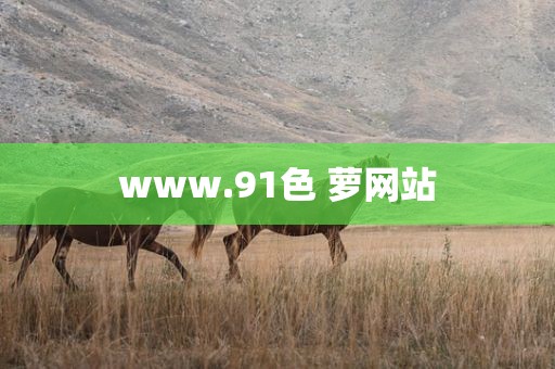 www.91色 萝网站