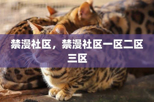 禁漫社区，禁漫社区一区二区三区