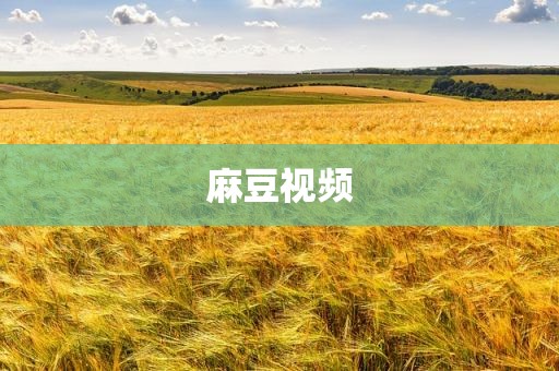 麻豆视频