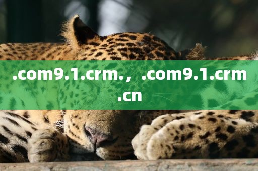 .com9.1.crm.，.com9.1.crm.cn