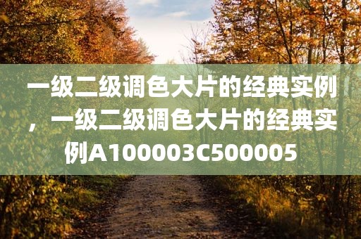 一级二级调色大片的经典实例，一级二级调色大片的经典实例A100003C500005