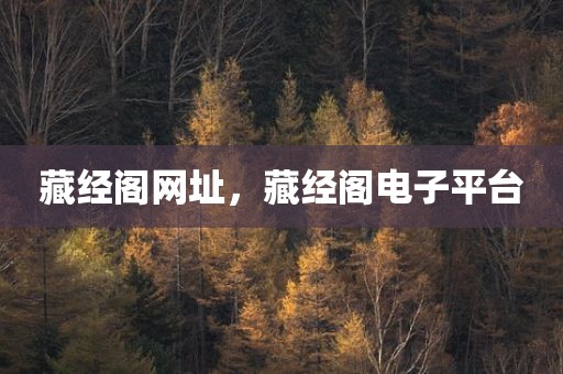 藏经阁网址，藏经阁电子平台