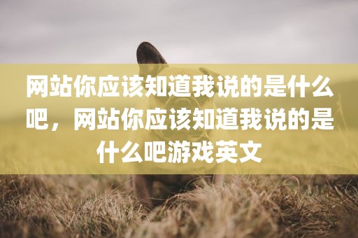 网站你应该知道我说的是什么吧，网站你应该知道我说的是什么吧游戏英文