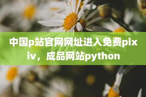 中国p站官网网址进入免费pixiv，成品网站python