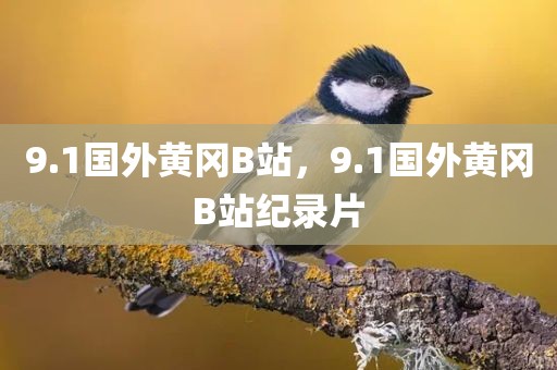 9.1国外黄冈B站，9.1国外黄冈B站纪录片