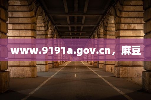 www.9191a.gov.cn，麻豆
