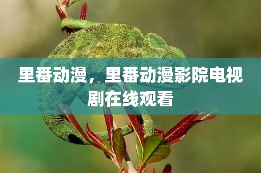 里番动漫，里番动漫影院电视剧在线观看