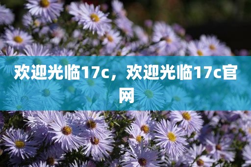 欢迎光临17c，欢迎光临17c官网
