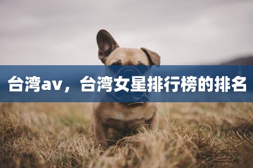 台湾av，台湾女星排行榜的排名