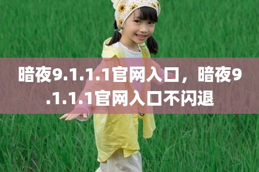暗夜9.1.1.1官网入口，暗夜9.1.1.1官网入口不闪退