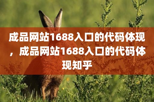 成品网站1688入口的代码体现，成品网站1688入口的代码体现知乎