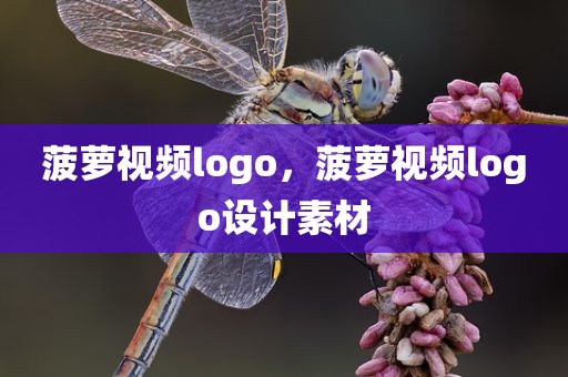 菠萝视频logo，菠萝视频logo设计素材