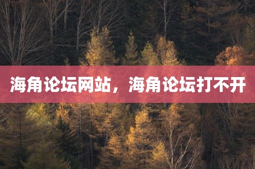 海角论坛网站，海角论坛打不开