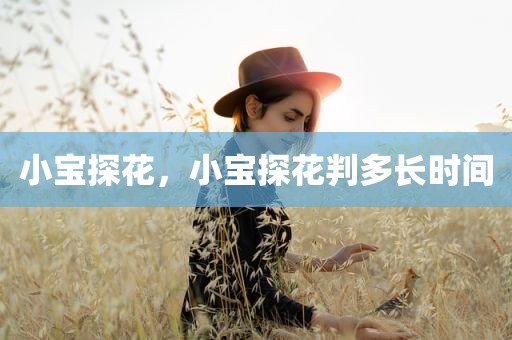 小宝探花，小宝探花判多长时间