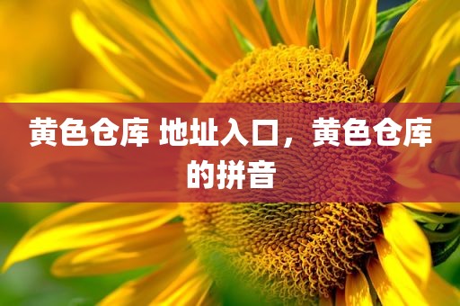 黄色仓库 地址入口，黄色仓库的拼音