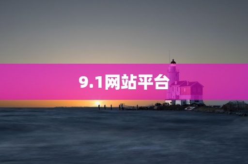 9.1网站平台