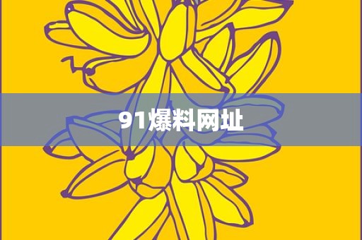 91爆料网址
