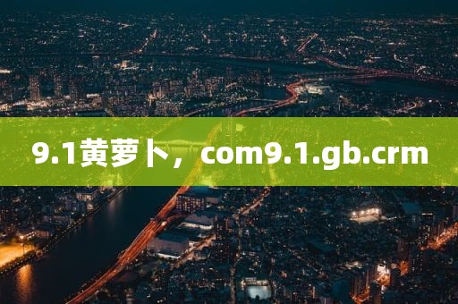 9.1黄萝卜，com9.1.gb.crm