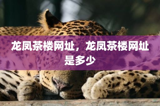 龙凤茶楼网址，龙凤茶楼网址是多少
