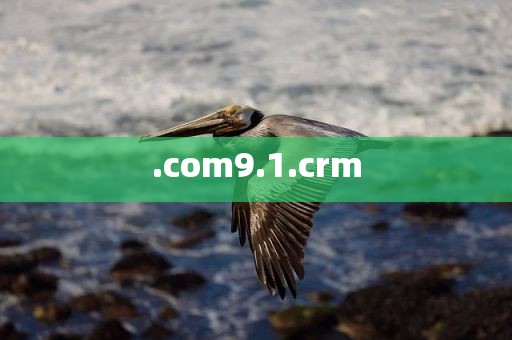 .com9.1.crm