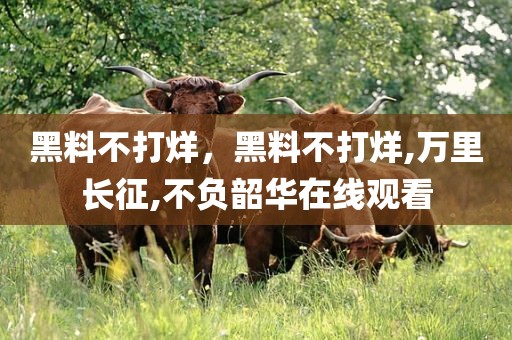 黑料不打烊，黑料不打烊,万里长征,不负韶华在线观看