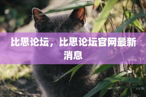 比思论坛，比思论坛官网最新消息