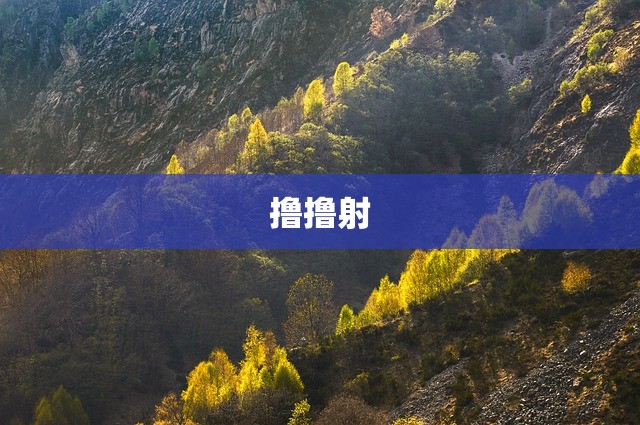 撸撸射