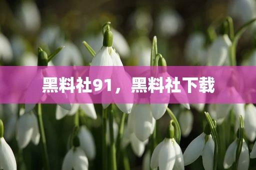 黑料社91，黑料社下载
