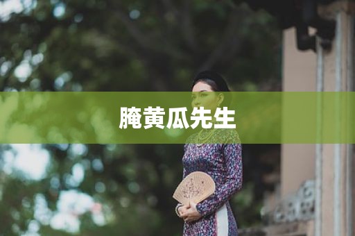 腌黄瓜先生