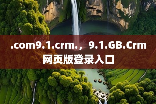 .com9.1.crm.，9.1.GB.Crm网页版登录入口
