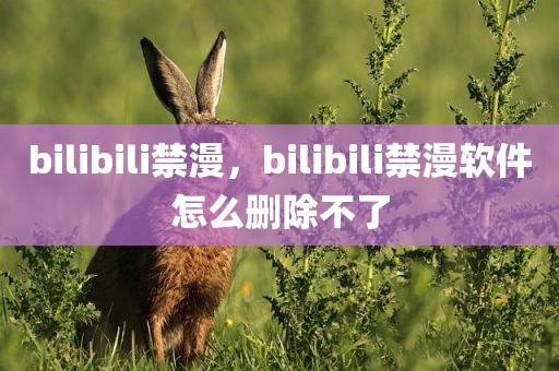 bilibili禁漫，bilibili禁漫软件怎么删除不了