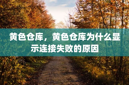 黄色仓库，黄色仓库为什么显示连接失败的原因