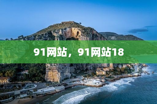 91网站，91网站18