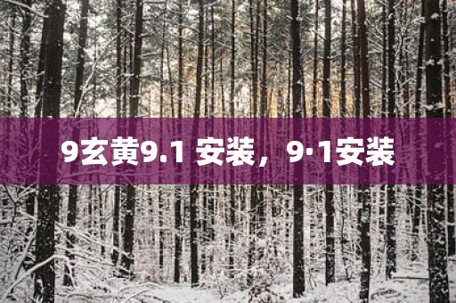 9玄黄9.1 安装，9·1安装