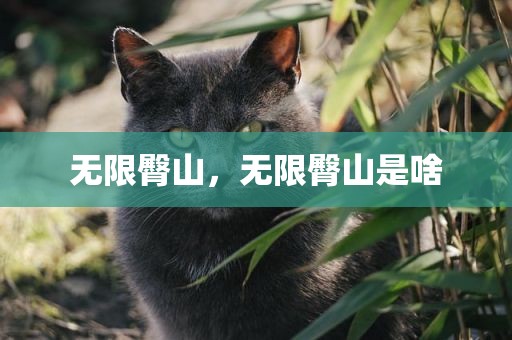 无限臀山，无限臀山是啥