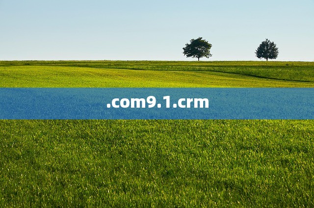 .com9.1.crm