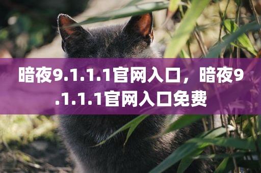 暗夜9.1.1.1官网入口，暗夜9.1.1.1官网入口免费