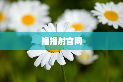 撸撸射官网